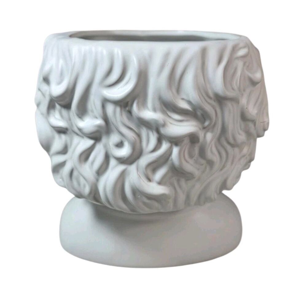 Edgar Allan Poe Bust Planter White Ceramic Halloween Decor Gothic Spooky - Picture 7 of 9